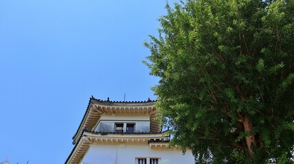 青空と新緑に包まれた和歌山城の櫓