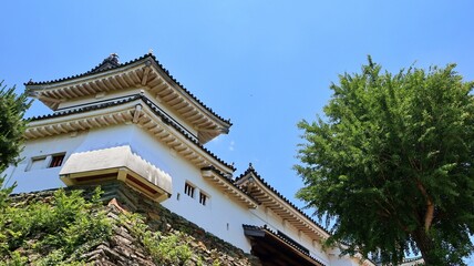 青空と新緑に包まれた和歌山城の櫓