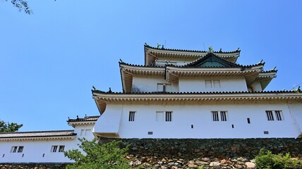 青空と春の和歌山城天守閣