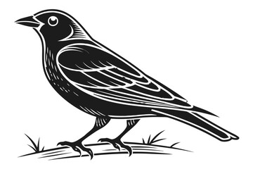 Placeholder image indicator