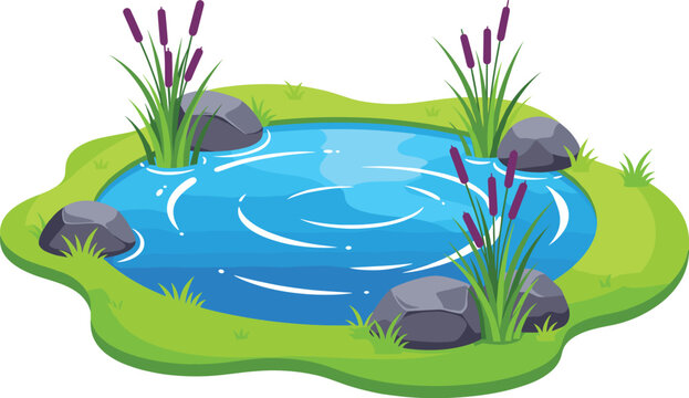 Cartoon pond vector illustration with water, rocks, grass and cattails, nature landscape element for outdoor scenery design