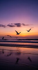 Fototapeta premium Seagulls flying over beach at sunset.