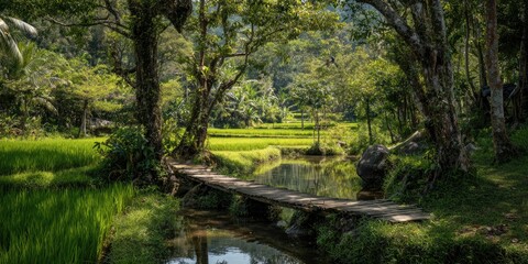 Lush green landscape with a wooden bridge over a stream, surrounded by trees and fields