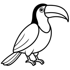 Toucan line art vector