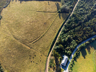 Top view of a large green meadow with a small herd of cows grazing, a farm, and several rural roads surrounding it