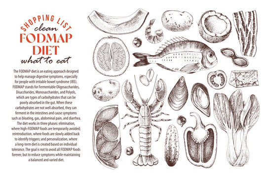 Low FODMAP diet ingredients vector