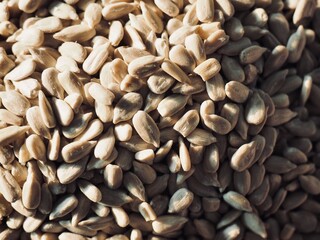 유기농 해바라기씨, 음식, 요리재료