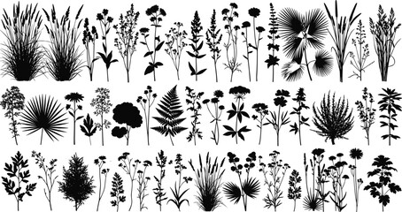 Plant silhouettes set, wild grass and fern collection, tropical palm leaf icons, nature botanical herbs, floral vegetation graphic, cad drawing flat vector illustration © MDMOHOBBAT