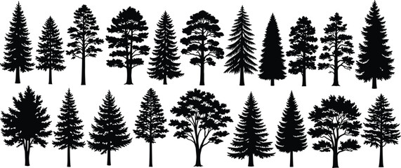 Set of pine tree silhouettes, coniferous forest collection, black spruce and fir icons, nature woods elements, cad drawing flat vector illustration. © MDMOHOBBAT