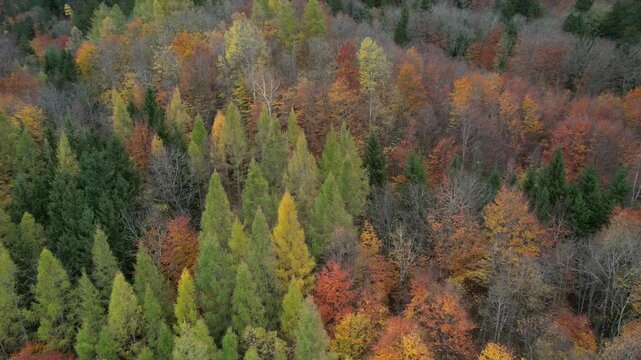 Wonderful colors during autumn in Vaduz Liechtenstein.