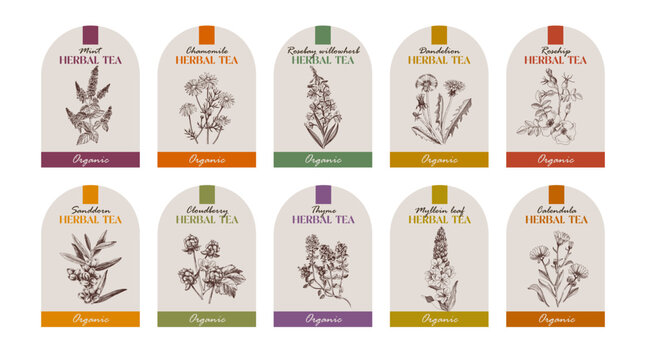 Herbal tea vector labels collection