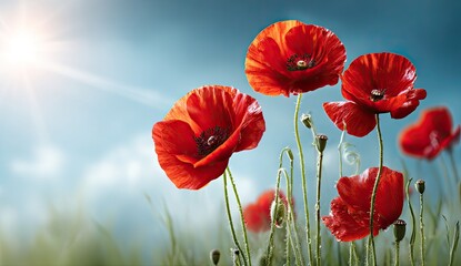 Close-up of vibrant red blooms reaching towards a bright sun, against a vivid blue sky