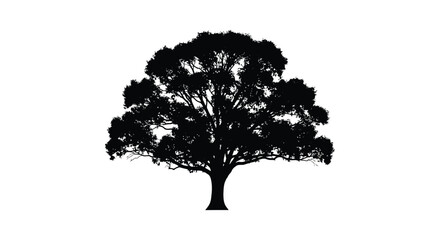 A striking black tree form against a white background a beautiful natural silhouette © Pvect02
