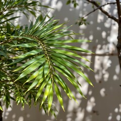 Green Tropical Leaf with Intricate Texture and Sunlight Casting Beautiful Shadows