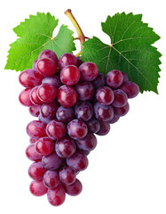 Fototapeta premium Fresh red grape cluster with green stem isolated on transparency background, showing juicy, ripe, and healthy fruit perfect for snacks, desserts, or juice