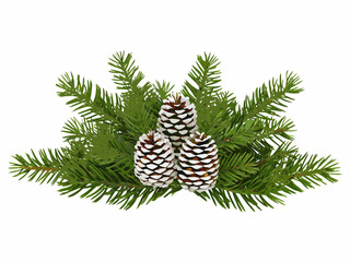 Three pine cones nestled among vibrant green evergreen branches on white