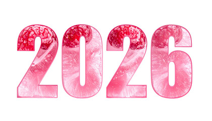 Pink frosty 2026 number design filled with raspberry textures