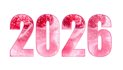 Pink frosty 2026 number design filled with raspberry textures