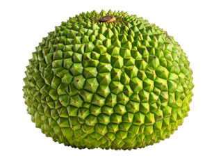Large, textured, green fruit with spiky, geometric pattern on black