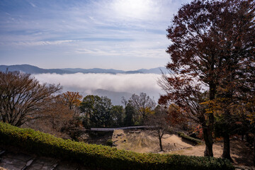 Obraz premium 備中松山城から見る雲海の風景（高梁市）