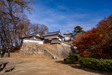 紅葉シーズンの備中松山城（高梁市）