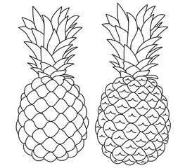 Pineapple Tropical Fruit Collection Isolated on White Background, Fresh Summer Food Vector Set
