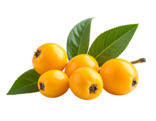 A cluster of ripe, orange fruits with green leaves against a black background