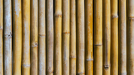 Close-up of vertical golden bamboo stalks with natural weathered texture.