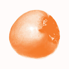 Vintage halftone fruit collage element for design projects, food menu, poster. Grunge persimmon in photocopy textured. Sticker for scrapbooks, journals. Trendy retro Bitmap Isolated vector illustratio