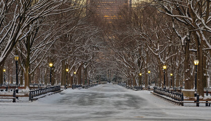 Central Park the Mall, during snow storm
