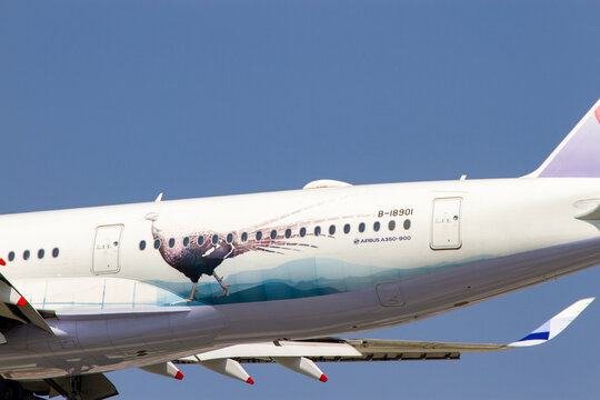 Ho Chi Minh City, Vietnam - January 22, 2022 : Syrmaticus Mikado (Also Called Mikado Pheasant) Painted On Airplane Of China Airlines.