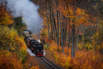 Brockenbahn in den herbstlichen W&auml;ldern im Harz