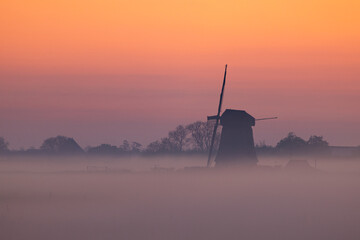 Tulpenfeld mit Windm&uuml;hle zum Sonnenaufgang.