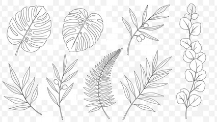 Collection of Hand-Drawn Botanical Outline Leaves and Branches for Nature-Inspired Design Projects, Featuring Tropical Foliage and Detailed Line Art