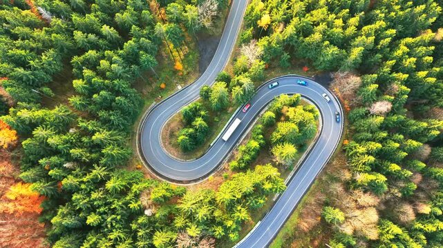 Experience the beauty of an autumn forest featuring a serpentine road. The aerial view showcases vibrant foliage and the curves of the asphalt path as vehicles navigate it.