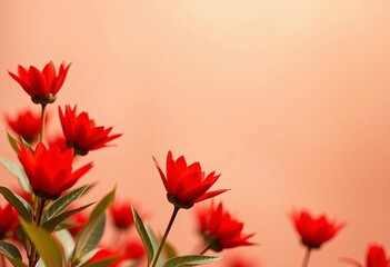 Vibrant scarlet shade creates an energetic and impactful visual element, perfect for design and branding,  backdrop,  color