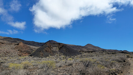 Volcanic landscape exposing barren land and sparse vegetation, El Pinar, Island El Hierro, Canary Islands, Spain, Europe.