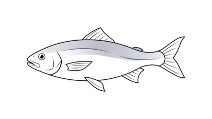 A detailed drawing of a fish with fins and tail