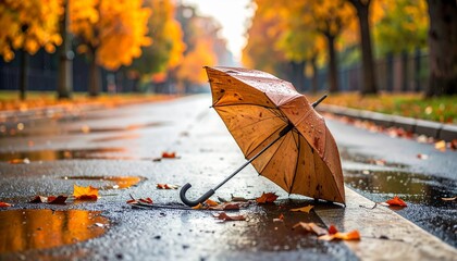 Umbrella on wet road surrounded by autumn leaves in a city park during fall season