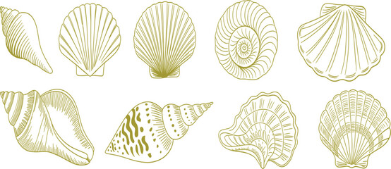 Set of golden hand drawn seashell icons, vintage nautical sea shell sketches isolated on white background, vector elements © Majnur