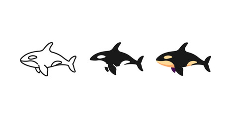 Obraz premium Progression of orca illustration: from outline to final coloring