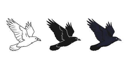 Triptych of flying birds in black, white, and color