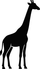 Silhouette of a giraffe
