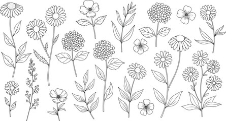 Collection of hand drawn wildflower blossoms and botanical leaf icons for nature design cad drawing flat vector illustration floral set