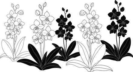 Collection of orchid flower silhouettes and line art icons for botanical nature design cad drawing flat vector illustration floral set © Maher Banu