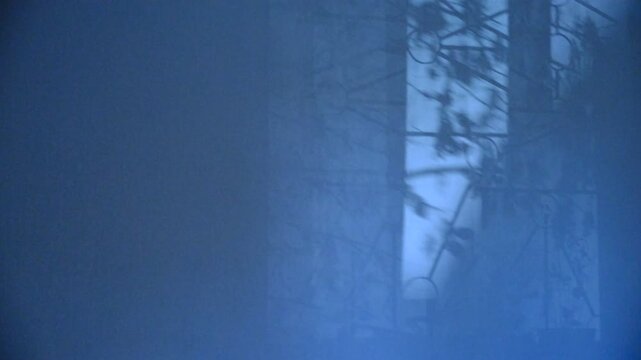 Blurred shadow of arched window. Window and moonlight, moving shadows on blue background with casting floral shadows. Atmospheric mood, calmness