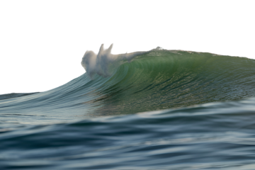 Surfer riding a wave isolated on transparent background