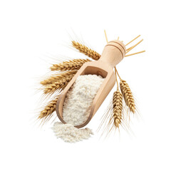 Flour in scoop with wheat isolated on Transparent Background
