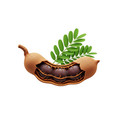 Tamarind fruit cut with leaves