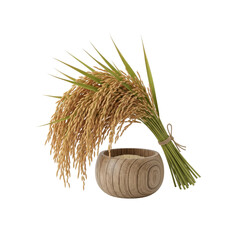 Harvested rice in wooden bowl isolated